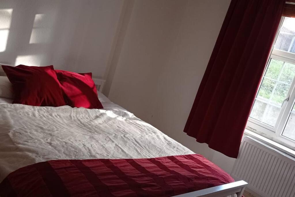 Sunny And Spacious Flat In Nw3 Londra Dış mekan fotoğraf